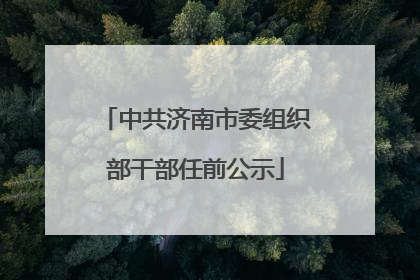 中共济南市委组织部干部任前公示