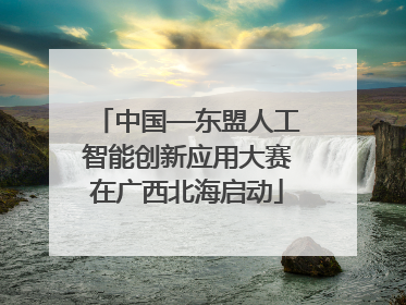 中国—东盟人工智能创新应用大赛在广西北海启动