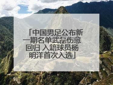 中国男足公布新一期名单武磊伤愈回归 入籍球员杨明洋首次入选