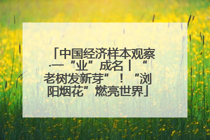 中国经济样本观察·一“业”成名丨“老树发新芽”！“浏阳烟花”燃亮世界