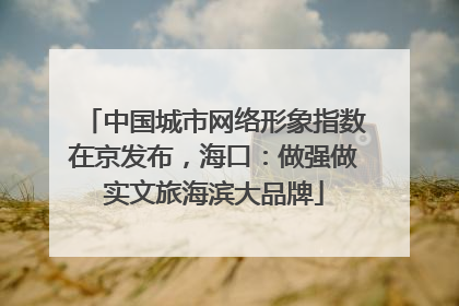 中国城市网络形象指数在京发布，海口：做强做实文旅海滨大品牌