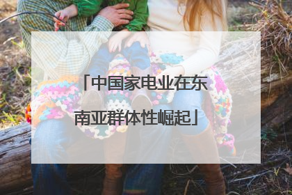 中国家电业在东南亚群体性崛起
