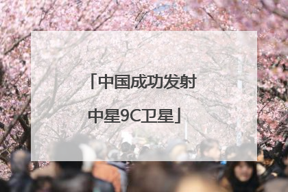 中国成功发射中星9C卫星