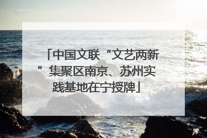 中国文联“文艺两新”集聚区南京、苏州实践基地在宁授牌