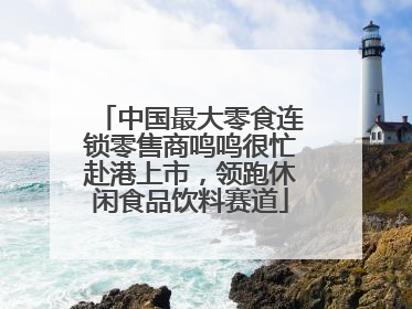中国最大零食连锁零售商鸣鸣很忙赴港上市，领跑休闲食品饮料赛道