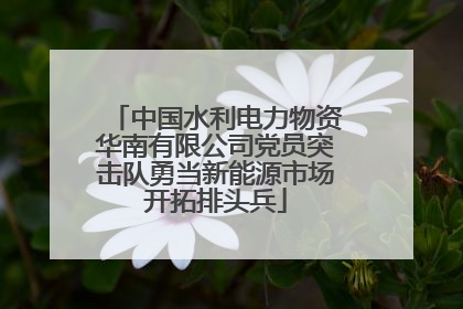 中国水利电力物资华南有限公司党员突击队勇当新能源市场开拓排头兵