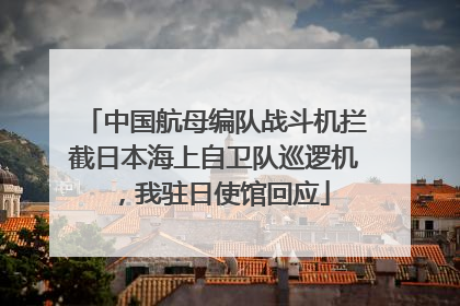 中国航母编队战斗机拦截日本海上自卫队巡逻机，我驻日使馆回应