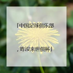 中国足球俱乐部，咋没来世俱杯