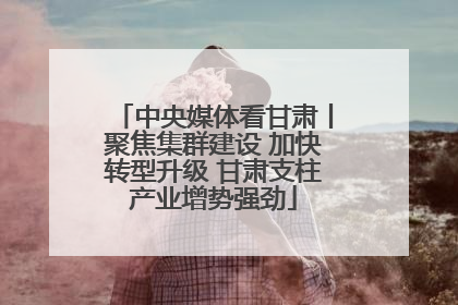 中央媒体看甘肃丨聚焦集群建设 加快转型升级 甘肃支柱产业增势强劲