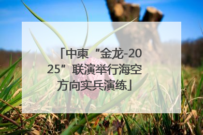 中柬“金龙-2025”联演举行海空方向实兵演练