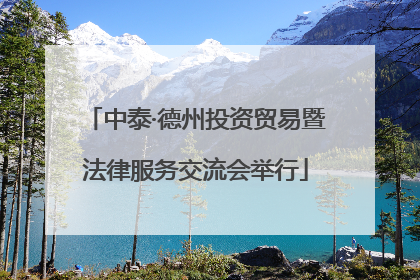 中泰·德州投资贸易暨法律服务交流会举行