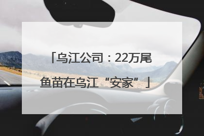 乌江公司：22万尾鱼苗在乌江“安家”