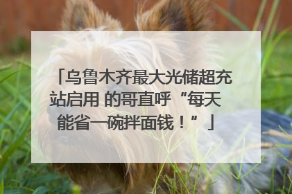 乌鲁木齐最大光储超充站启用 的哥直呼“每天能省一碗拌面钱！”