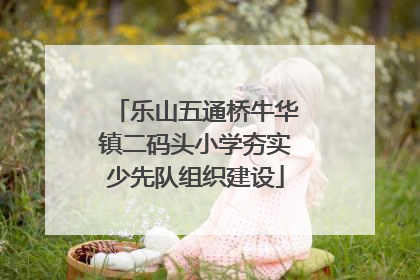 乐山五通桥牛华镇二码头小学夯实少先队组织建设