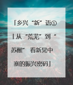 乡兴“新”语①丨从“荒芜”到“苏醒” 看新晃中寨的振兴密码