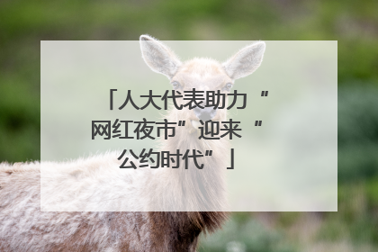 人大代表助力“网红夜市”迎来“公约时代”