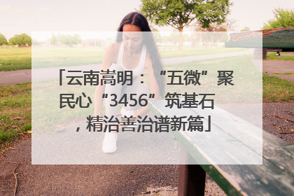 云南嵩明：“五微”聚民心“3456”筑基石，精治善治谱新篇