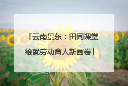 云南景东：田间课堂绘就劳动育人新画卷