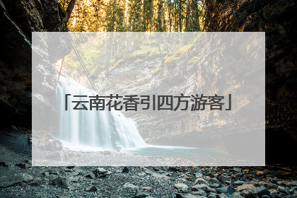 云南花香引四方游客