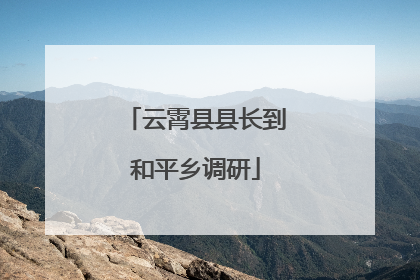 云霄县县长到和平乡调研
