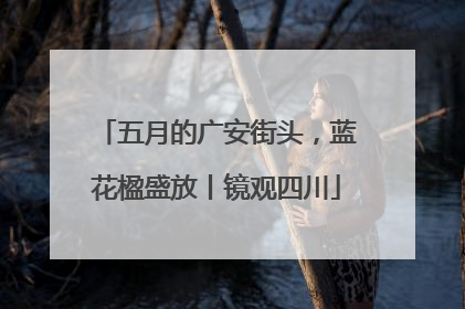 五月的广安街头，蓝花楹盛放丨镜观四川