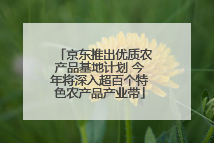 京东推出优质农产品基地计划 今年将深入超百个特色农产品产业带