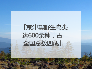 京津冀野生鸟类达600余种，占全国总数四成