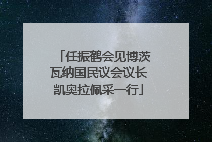 任振鹤会见博茨瓦纳国民议会议长凯奥拉佩采一行
