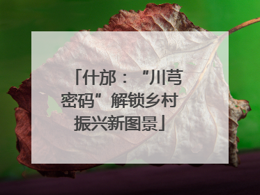 什邡：“川芎密码”解锁乡村振兴新图景