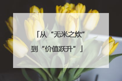 从“无米之炊”到“价值跃升”
