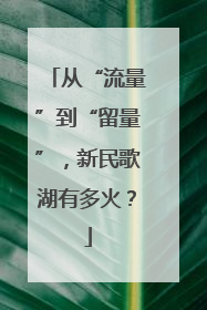 从“流量”到“留量”，新民歌湖有多火？