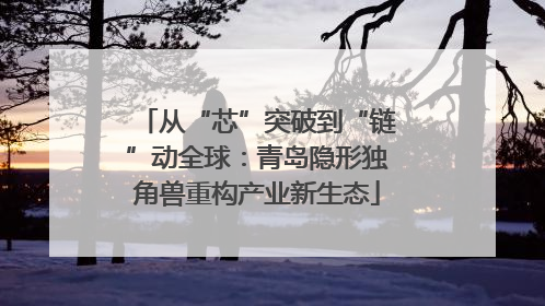 从“芯”突破到“链”动全球：青岛隐形独角兽重构产业新生态
