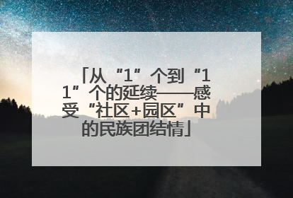 从“1”个到“11”个的延续——感受“社区+园区”中的民族团结情
