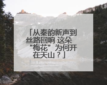 从秦韵新声到丝路回响 这朵“梅花”为何开在天山？