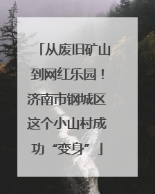 从废旧矿山到网红乐园！济南市钢城区这个小山村成功“变身”