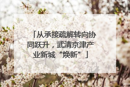 从承接疏解转向协同跃升，武清京津产业新城“焕新”