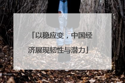 以稳应变，中国经济展现韧性与潜力