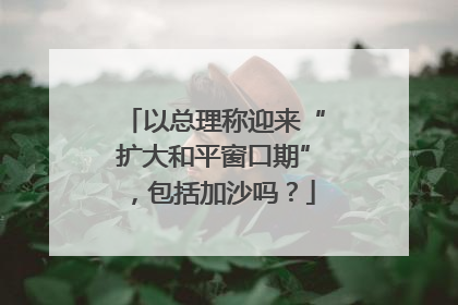 以总理称迎来“扩大和平窗口期”，包括加沙吗？