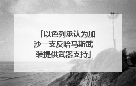 以色列承认为加沙一支反哈马斯武装提供武器支持