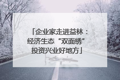 企业家走进益林：经济生态“双面绣” 投资兴业好地方