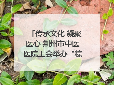传承文化 凝聚医心 荆州市中医医院工会举办“粽香传情·诗韵端午”系列活动
