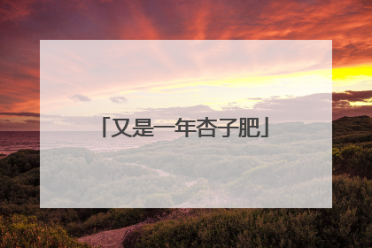 又是一年杏子肥