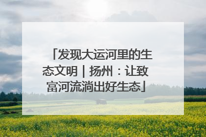 发现大运河里的生态文明｜扬州：让致富河流淌出好生态