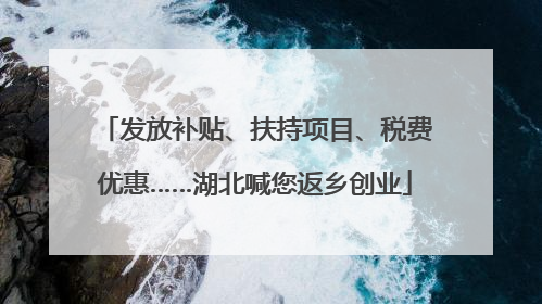 发放补贴、扶持项目、税费优惠……湖北喊您返乡创业