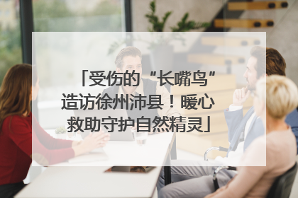 受伤的“长嘴鸟”造访徐州沛县！暖心救助守护自然精灵