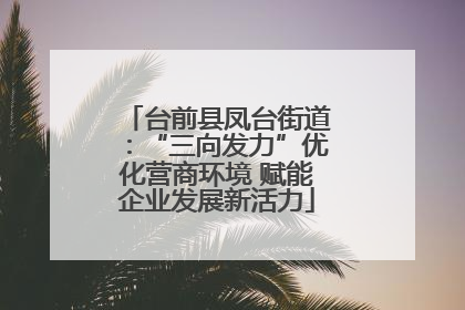 台前县凤台街道：“三向发力”优化营商环境 赋能企业发展新活力