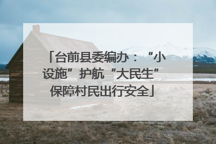 台前县委编办：“小设施”护航“大民生” 保障村民出行安全