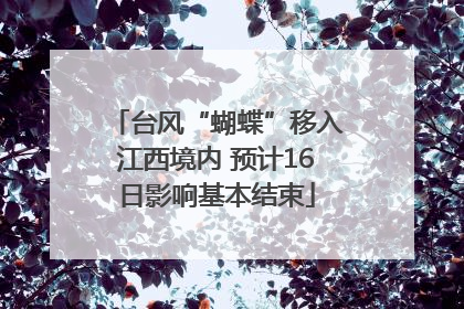 台风“蝴蝶”移入江西境内 预计16日影响基本结束