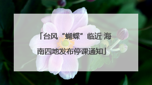 台风“蝴蝶”临近 海南四地发布停课通知
