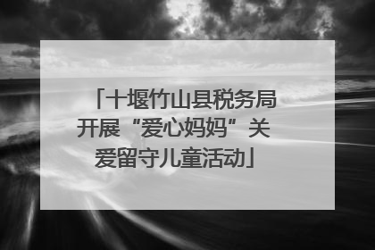 十堰竹山县税务局开展“爱心妈妈”关爱留守儿童活动